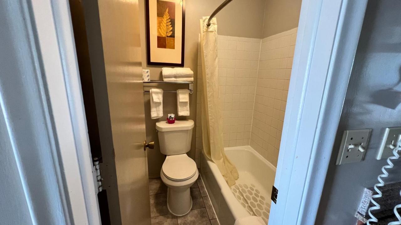 Avoca Capri Motel מראה חיצוני תמונה